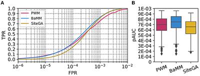 Motif models proposing independent and interdependent impacts of nucleotides are related to high and low affinity transcription factor binding sites in Arabidopsis